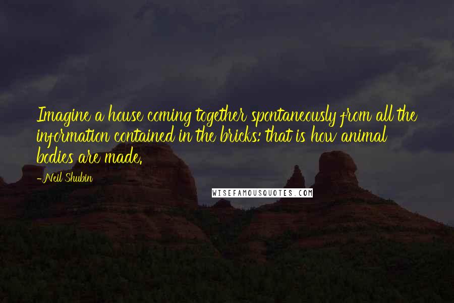 Neil Shubin Quotes: Imagine a house coming together spontaneously from all the information contained in the bricks: that is how animal bodies are made.