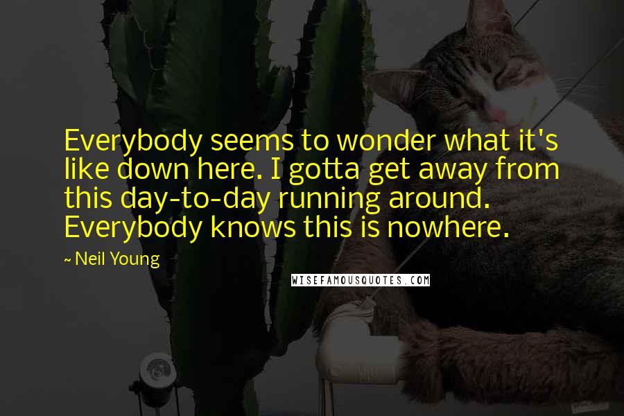 Neil Young Quotes: Everybody seems to wonder what it's like down here. I gotta get away from this day-to-day running around. Everybody knows this is nowhere.