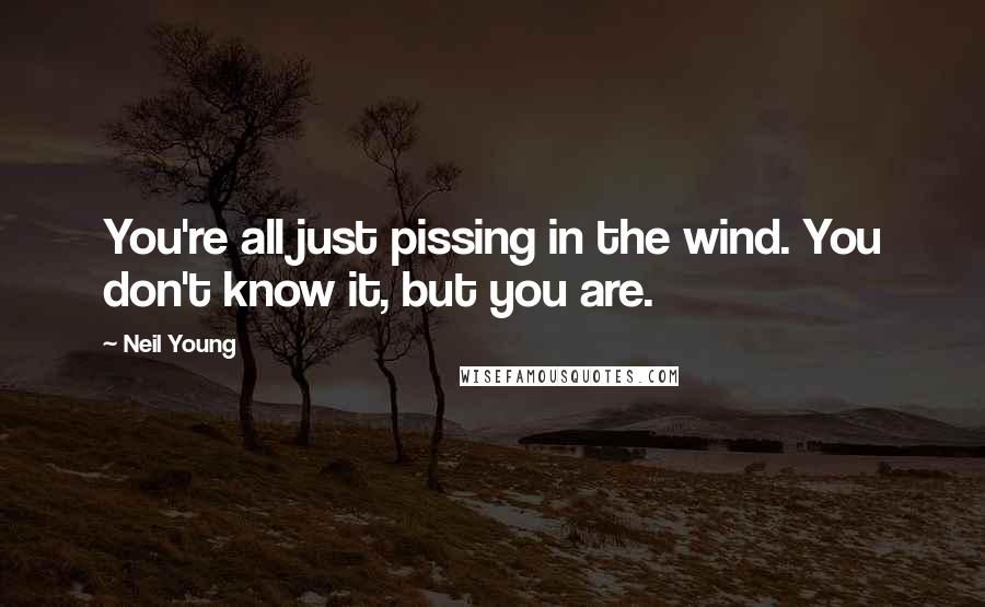 Neil Young Quotes: You're all just pissing in the wind. You don't know it, but you are.