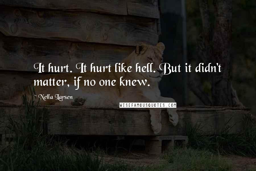 Nella Larsen Quotes: It hurt. It hurt like hell. But it didn't matter, if no one knew.