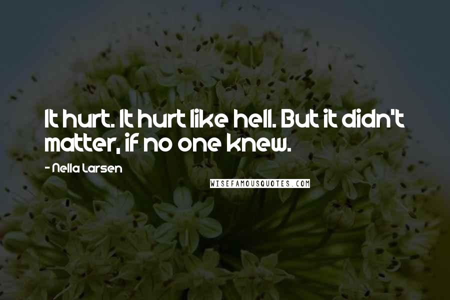 Nella Larsen Quotes: It hurt. It hurt like hell. But it didn't matter, if no one knew.