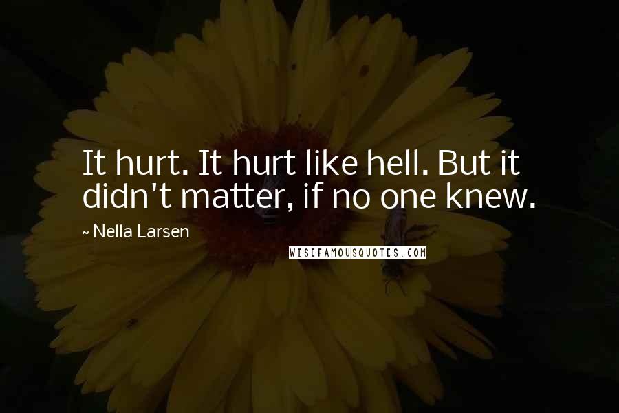 Nella Larsen Quotes: It hurt. It hurt like hell. But it didn't matter, if no one knew.