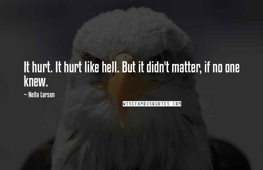 Nella Larsen Quotes: It hurt. It hurt like hell. But it didn't matter, if no one knew.