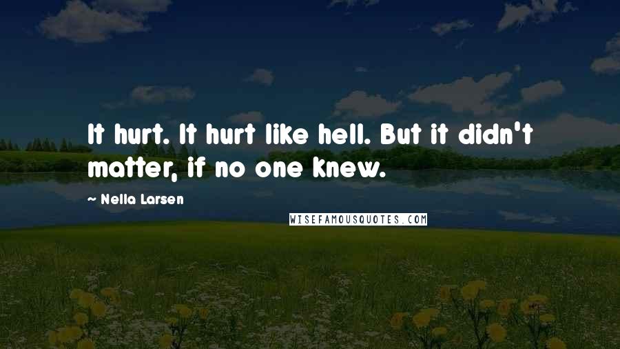 Nella Larsen Quotes: It hurt. It hurt like hell. But it didn't matter, if no one knew.