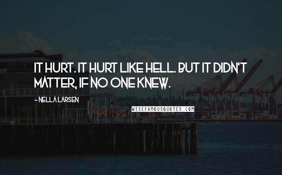 Nella Larsen Quotes: It hurt. It hurt like hell. But it didn't matter, if no one knew.