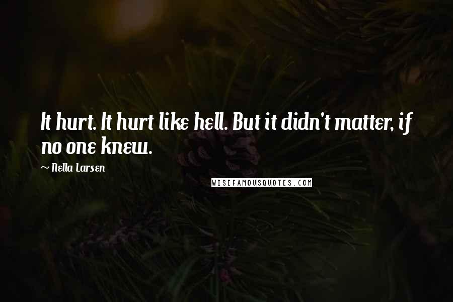 Nella Larsen Quotes: It hurt. It hurt like hell. But it didn't matter, if no one knew.