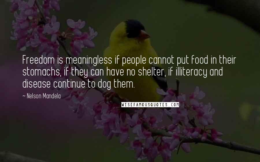 Nelson Mandela Quotes: Freedom is meaningless if people cannot put food in their stomachs, if they can have no shelter, if illiteracy and disease continue to dog them.