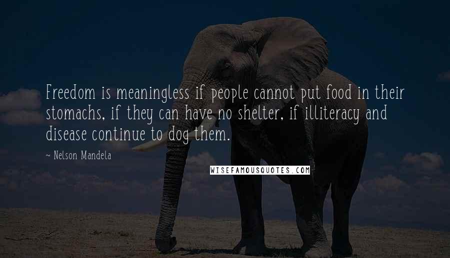 Nelson Mandela Quotes: Freedom is meaningless if people cannot put food in their stomachs, if they can have no shelter, if illiteracy and disease continue to dog them.