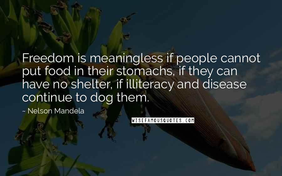 Nelson Mandela Quotes: Freedom is meaningless if people cannot put food in their stomachs, if they can have no shelter, if illiteracy and disease continue to dog them.