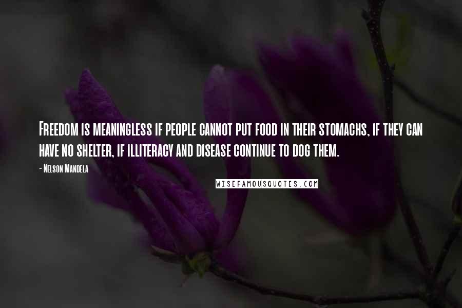 Nelson Mandela Quotes: Freedom is meaningless if people cannot put food in their stomachs, if they can have no shelter, if illiteracy and disease continue to dog them.