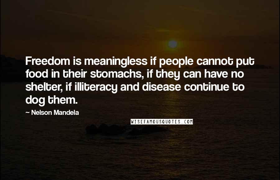 Nelson Mandela Quotes: Freedom is meaningless if people cannot put food in their stomachs, if they can have no shelter, if illiteracy and disease continue to dog them.