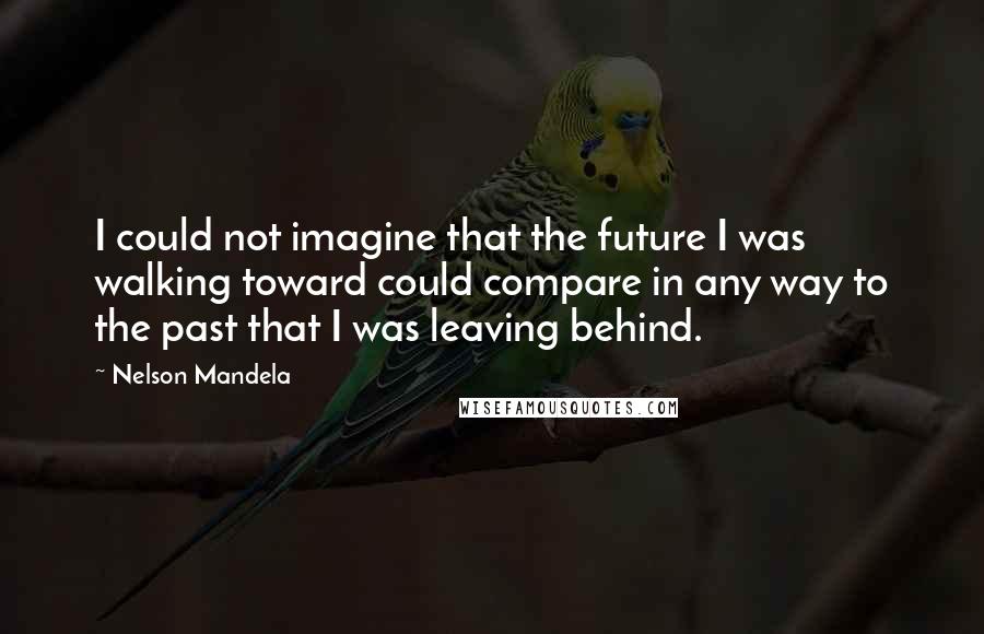 Nelson Mandela Quotes: I could not imagine that the future I was walking toward could compare in any way to the past that I was leaving behind.