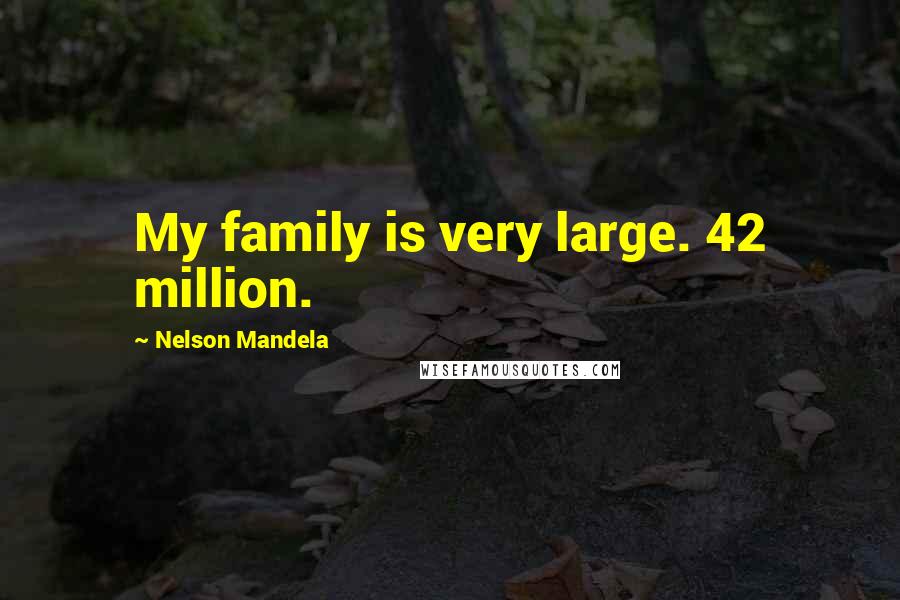 Nelson Mandela Quotes: My family is very large. 42 million.