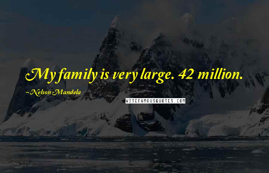 Nelson Mandela Quotes: My family is very large. 42 million.