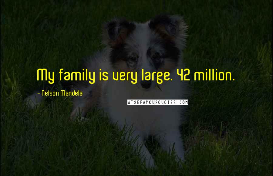 Nelson Mandela Quotes: My family is very large. 42 million.