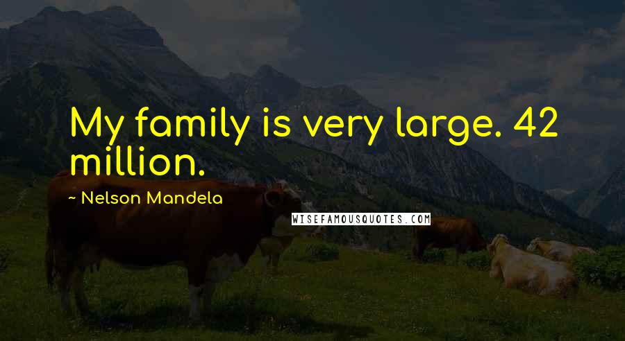 Nelson Mandela Quotes: My family is very large. 42 million.