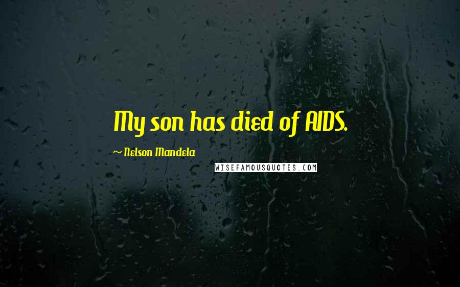 Nelson Mandela Quotes: My son has died of AIDS.