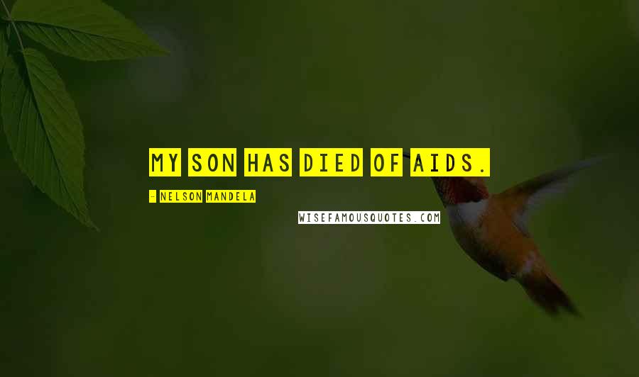 Nelson Mandela Quotes: My son has died of AIDS.