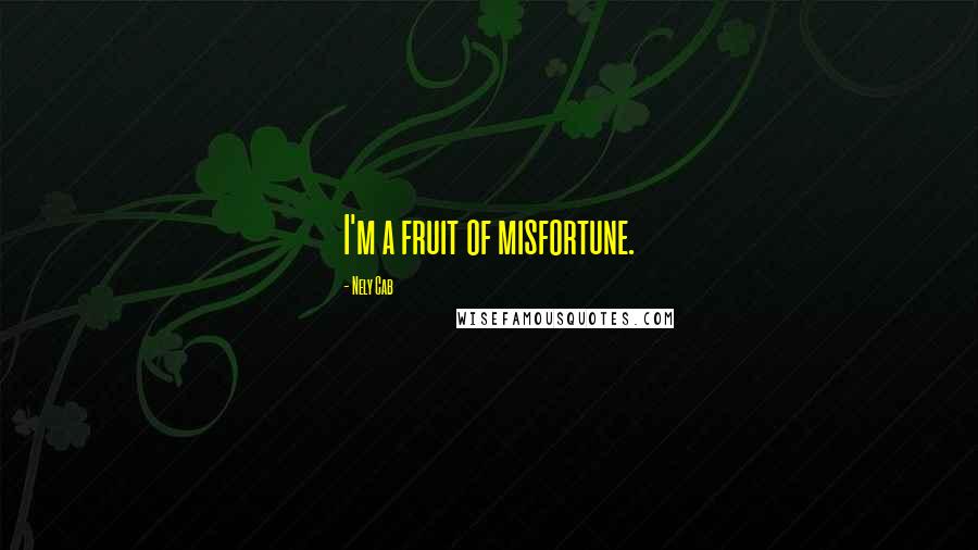 Nely Cab Quotes: I'm a fruit of misfortune.
