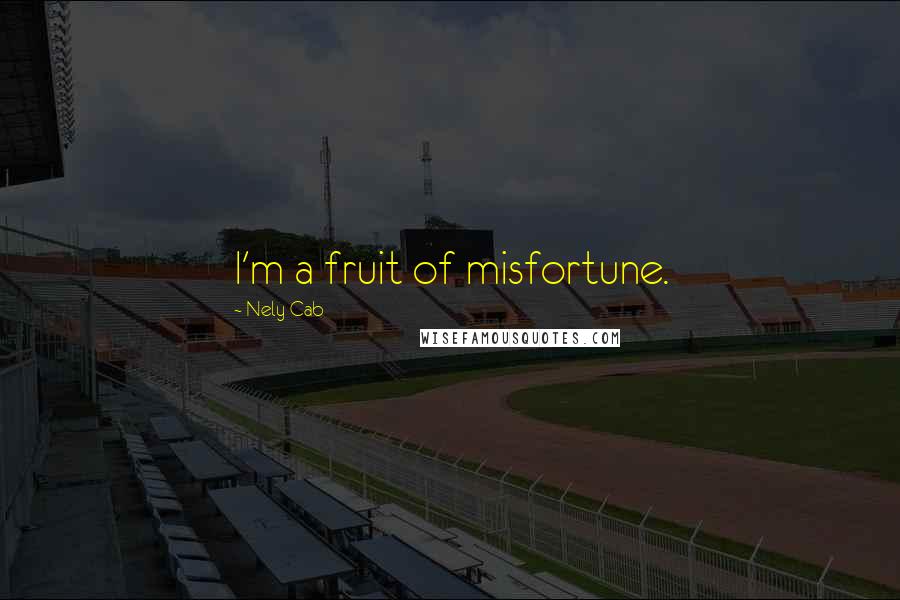 Nely Cab Quotes: I'm a fruit of misfortune.
