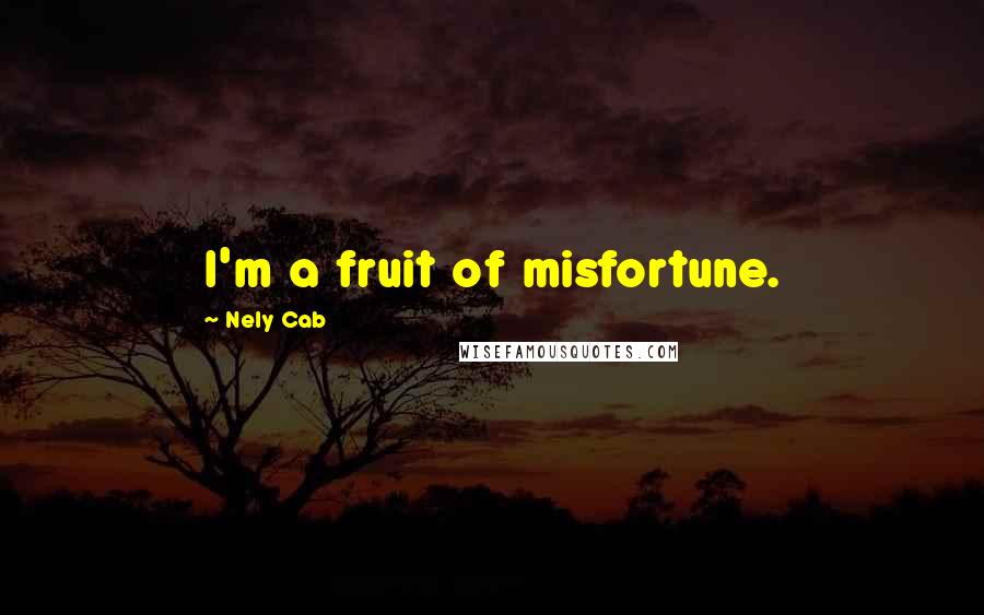 Nely Cab Quotes: I'm a fruit of misfortune.