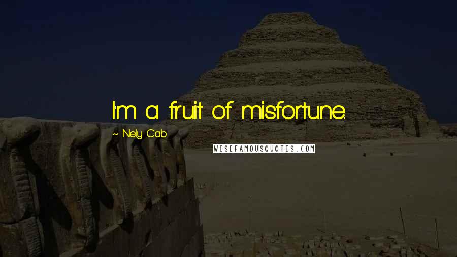 Nely Cab Quotes: I'm a fruit of misfortune.