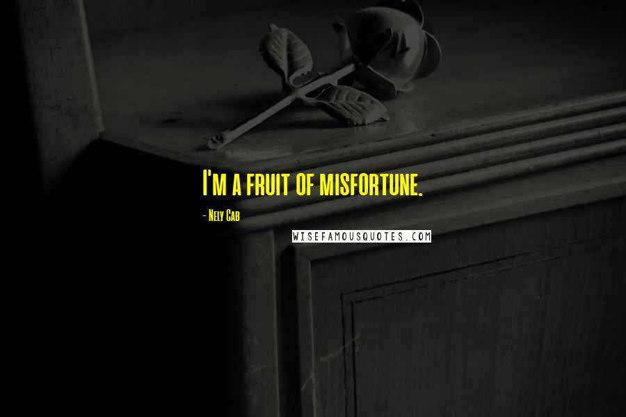 Nely Cab Quotes: I'm a fruit of misfortune.