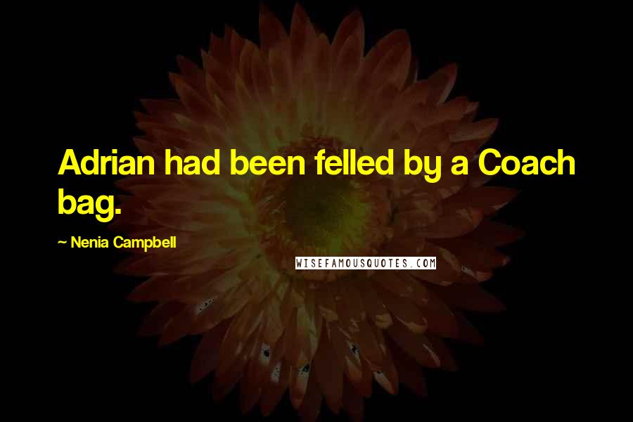 Nenia Campbell Quotes: Adrian had been felled by a Coach bag.