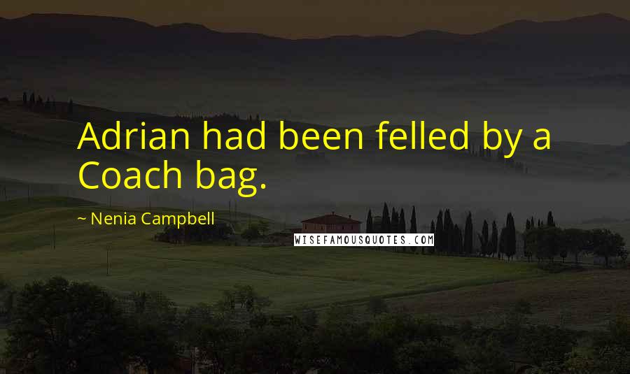 Nenia Campbell Quotes: Adrian had been felled by a Coach bag.