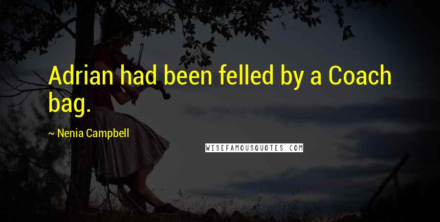 Nenia Campbell Quotes: Adrian had been felled by a Coach bag.