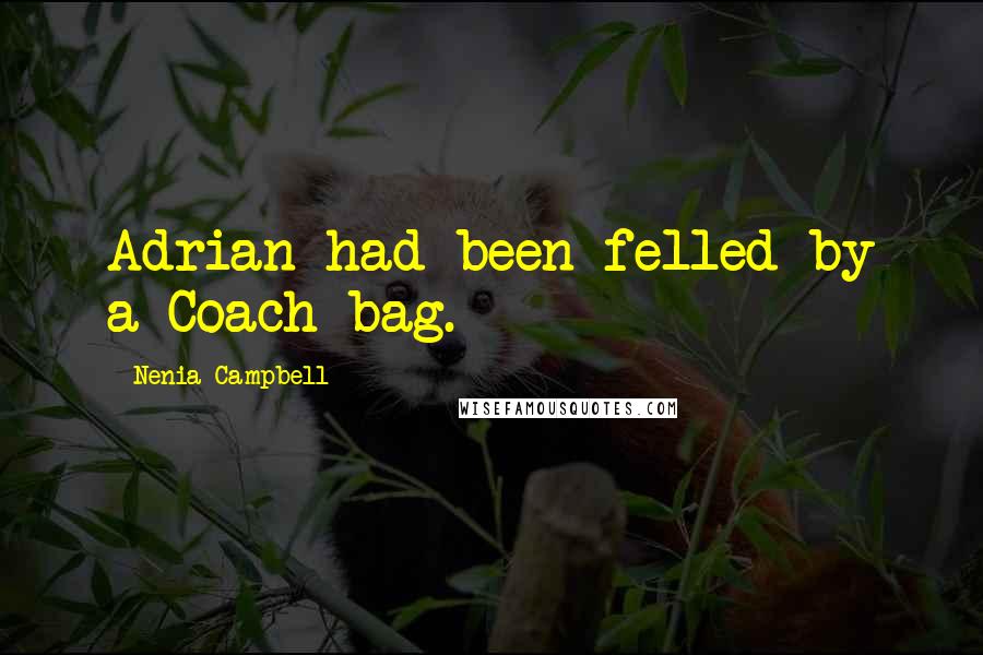 Nenia Campbell Quotes: Adrian had been felled by a Coach bag.