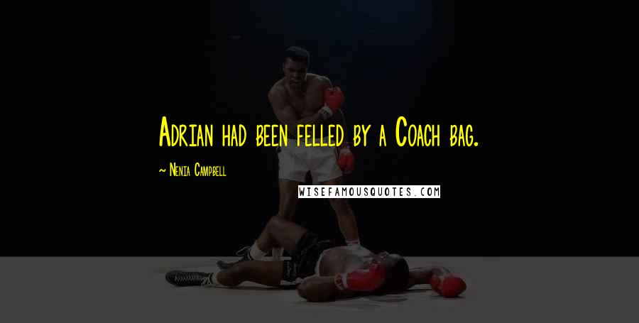 Nenia Campbell Quotes: Adrian had been felled by a Coach bag.