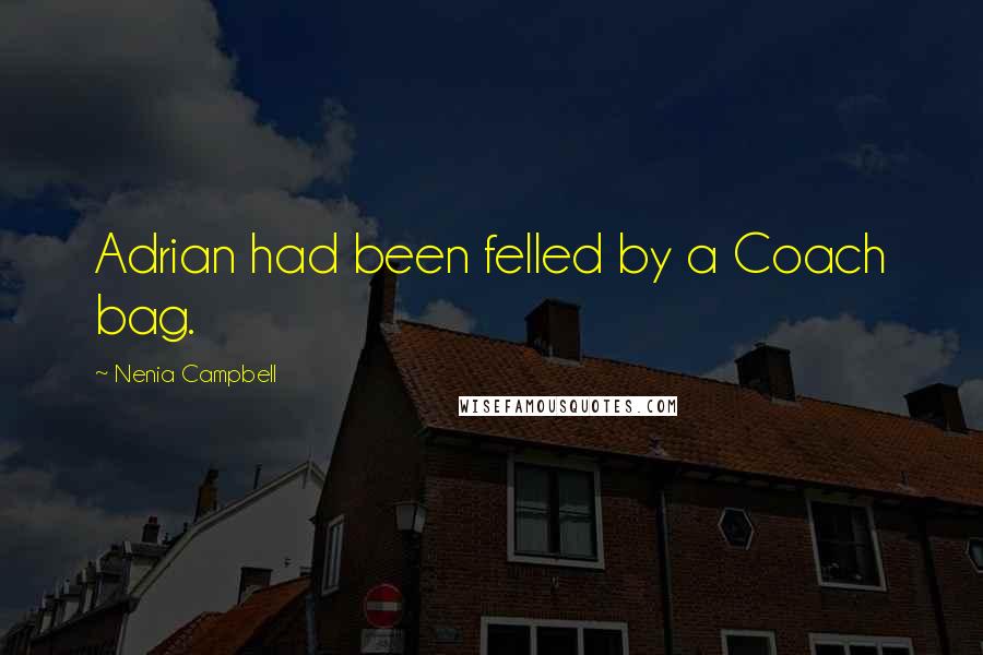 Nenia Campbell Quotes: Adrian had been felled by a Coach bag.