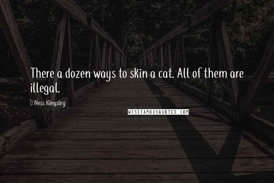 Ness Kingsley Quotes: There a dozen ways to skin a cat. All of them are illegal.
