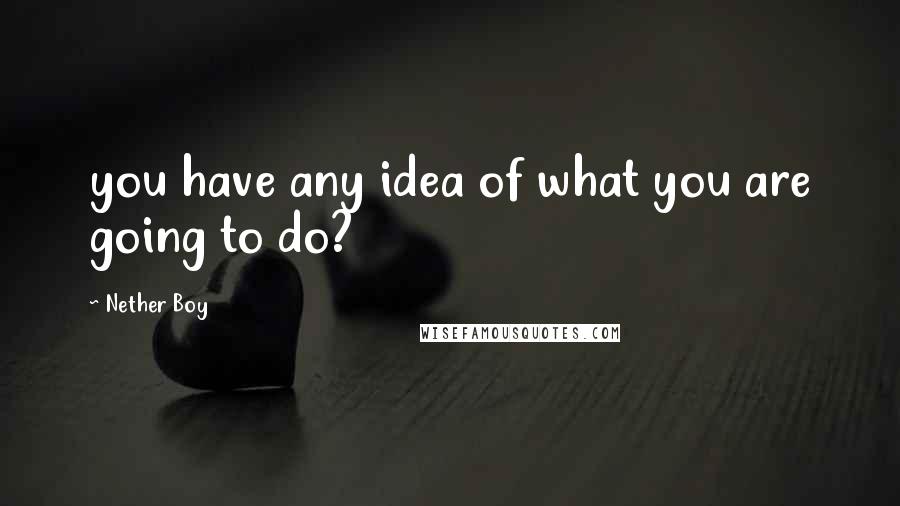 Nether Boy Quotes: you have any idea of what you are going to do?