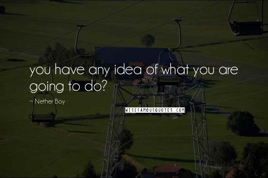 Nether Boy Quotes: you have any idea of what you are going to do?