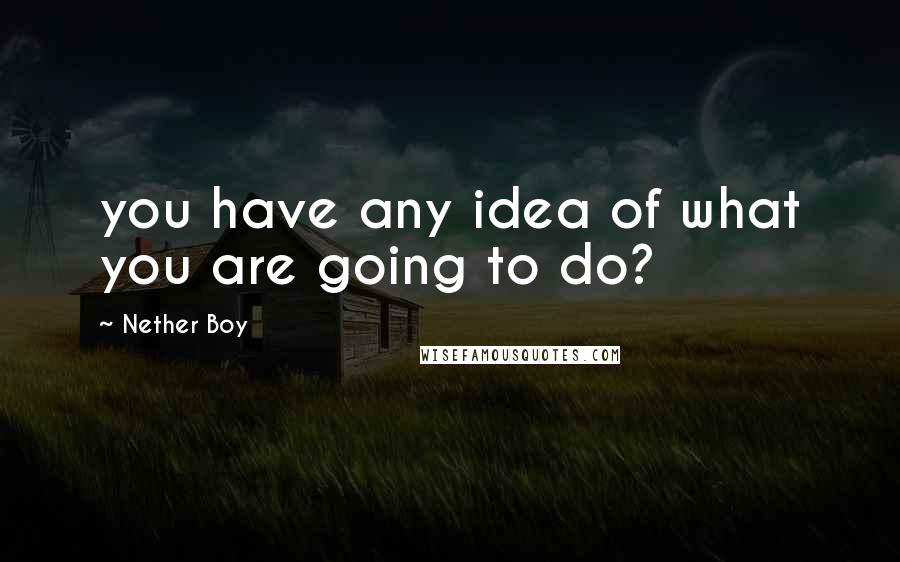 Nether Boy Quotes: you have any idea of what you are going to do?