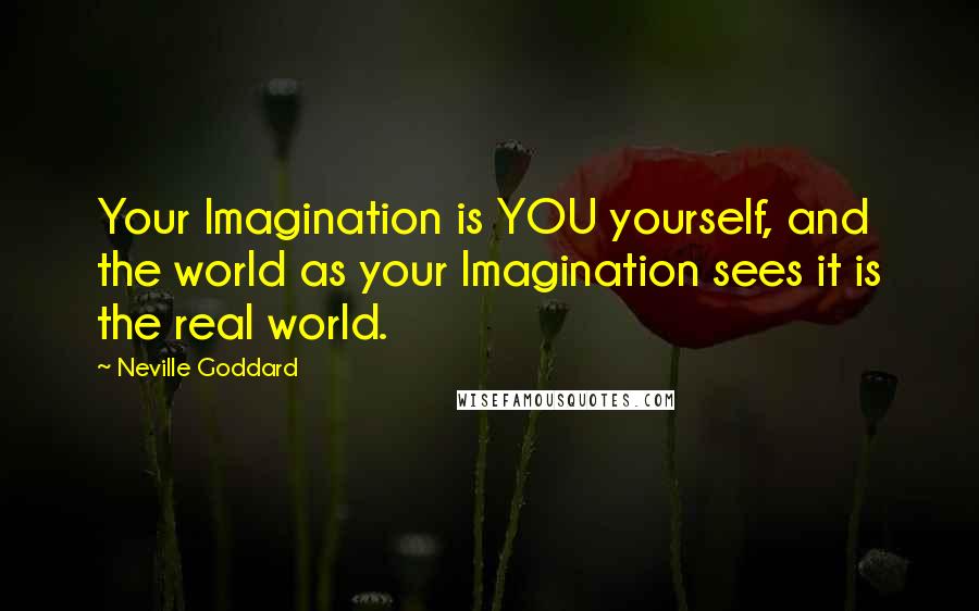 Neville Goddard Quotes: Your Imagination is YOU yourself, and the world as your Imagination sees it is the real world.