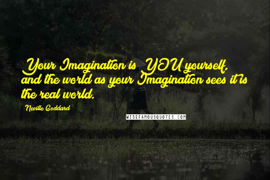 Neville Goddard Quotes: Your Imagination is YOU yourself, and the world as your Imagination sees it is the real world.