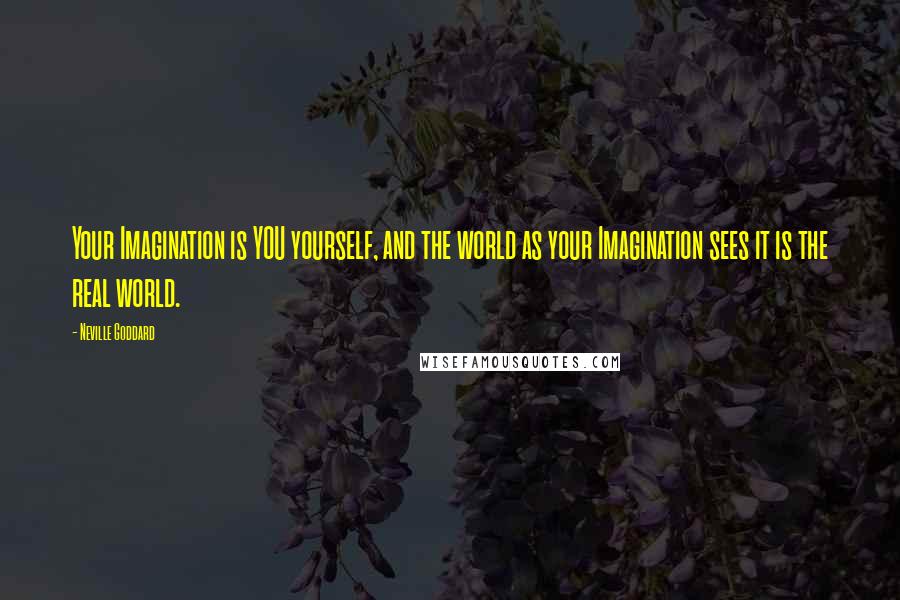 Neville Goddard Quotes: Your Imagination is YOU yourself, and the world as your Imagination sees it is the real world.