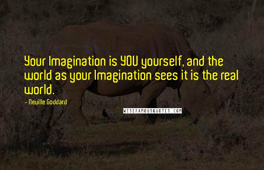 Neville Goddard Quotes: Your Imagination is YOU yourself, and the world as your Imagination sees it is the real world.