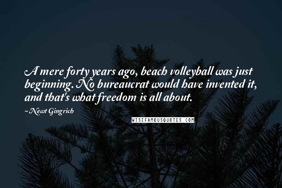 Newt Gingrich Quotes: A mere forty years ago, beach volleyball was just beginning. No bureaucrat would have invented it, and that's what freedom is all about.