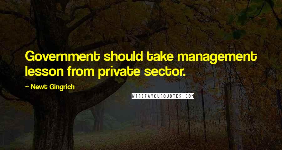 Newt Gingrich Quotes: Government should take management lesson from private sector.