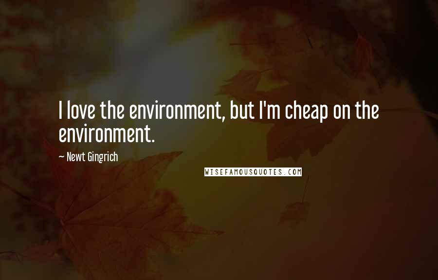 Newt Gingrich Quotes: I love the environment, but I'm cheap on the environment.