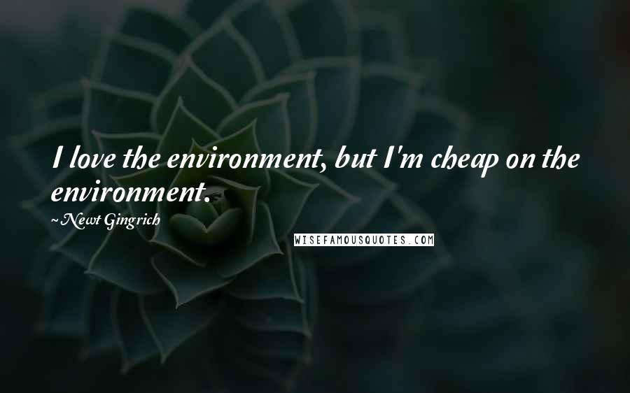 Newt Gingrich Quotes: I love the environment, but I'm cheap on the environment.