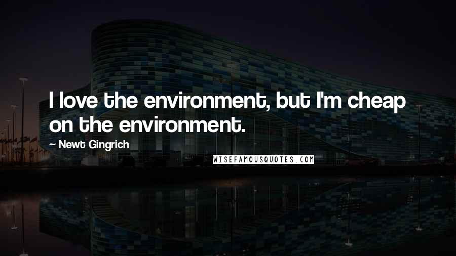 Newt Gingrich Quotes: I love the environment, but I'm cheap on the environment.