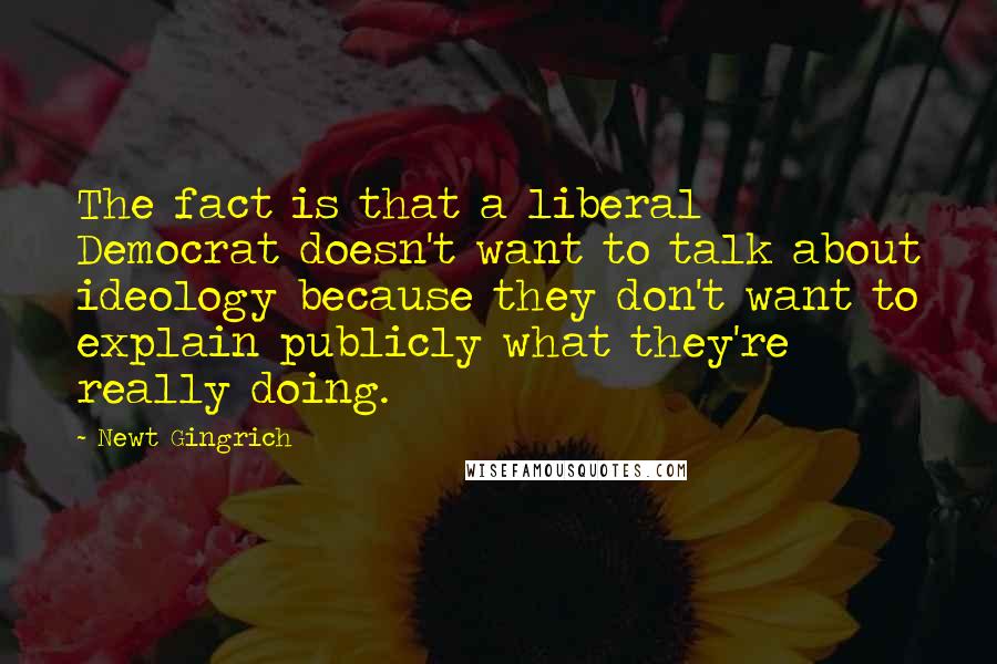 Newt Gingrich Quotes: The fact is that a liberal Democrat doesn't want to talk about ideology because they don't want to explain publicly what they're really doing.