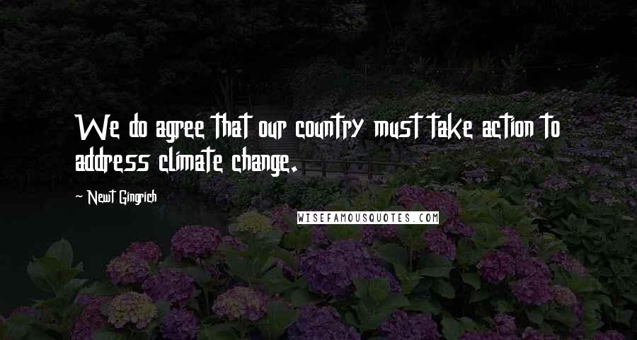 Newt Gingrich Quotes: We do agree that our country must take action to address climate change.
