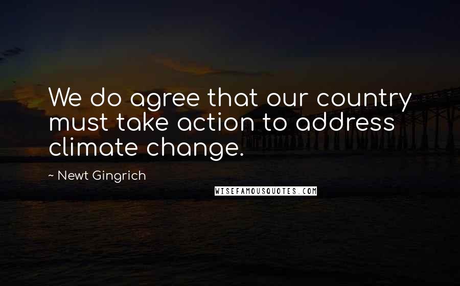 Newt Gingrich Quotes: We do agree that our country must take action to address climate change.