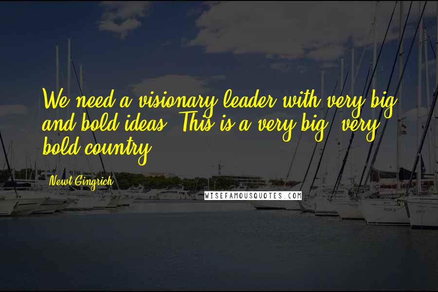 Newt Gingrich Quotes: We need a visionary leader with very big and bold ideas. This is a very big, very bold country.